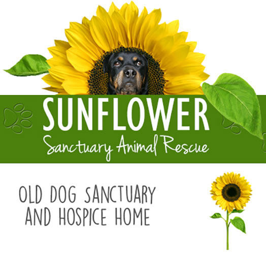 Sunflower Sanctuary Animal Rescue